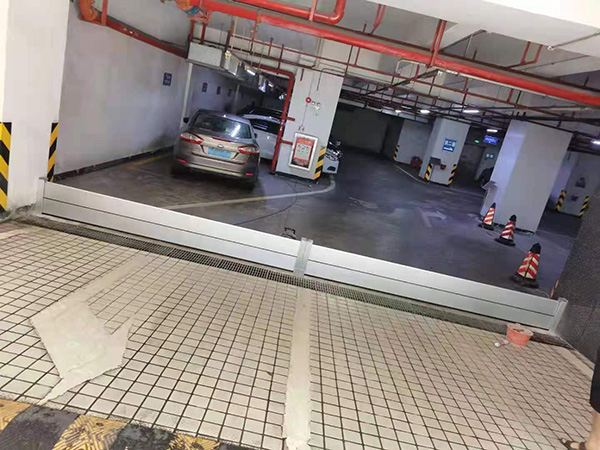 64b8e05383753.jpg 01.jpg